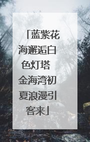 蓝紫花海邂逅白色灯塔 金海湾初夏浪漫引客来