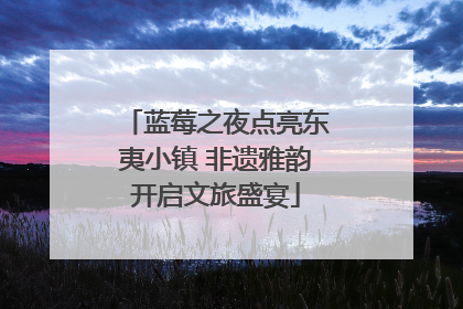 蓝莓之夜点亮东夷小镇 非遗雅韵开启文旅盛宴