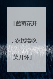 蓝莓花开，农民增收笑开怀