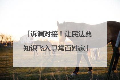 诉调对接！让民法典知识飞入寻常百姓家