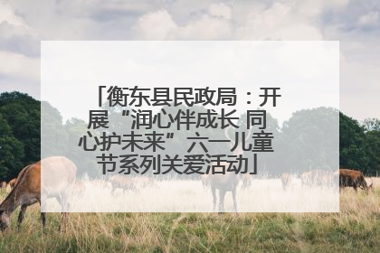 衡东县民政局：开展“润心伴成长 同心护未来”六一儿童节系列关爱活动