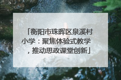 衡阳市珠晖区泉溪村小学：聚焦体验式教学，推动思政课堂创新