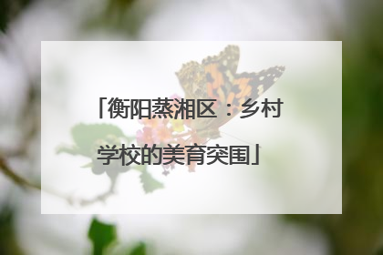 衡阳蒸湘区：乡村学校的美育突围