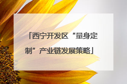 西宁开发区“量身定制”产业链发展策略