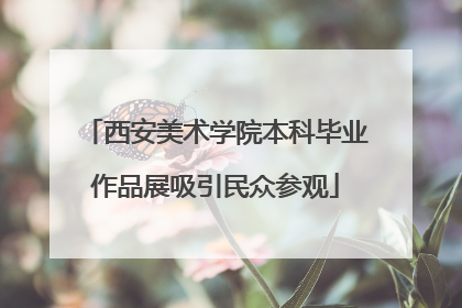 西安美术学院本科毕业作品展吸引民众参观