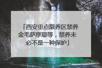 西安重点限养区禁养金毛萨摩耶等，禁养未必不是一种保护