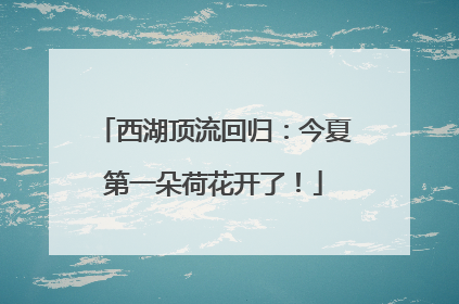 西湖顶流回归：今夏第一朵荷花开了！