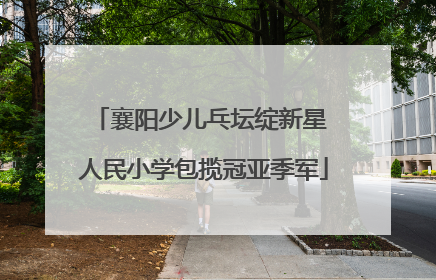襄阳少儿乓坛绽新星 人民小学包揽冠亚季军