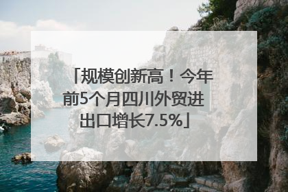 规模创新高！今年前5个月四川外贸进出口增长7.5%