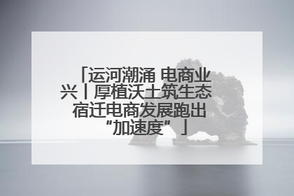运河潮涌 电商业兴丨厚植沃土筑生态 宿迁电商发展跑出“加速度”