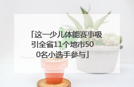 这一少儿体能赛事吸引全省11个地市500名小选手参与