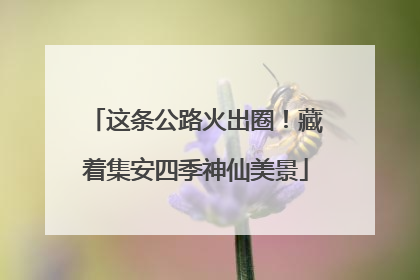 这条公路火出圈！藏着集安四季神仙美景