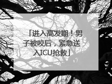 进入高发期！男子被咬后，紧急送入ICU抢救