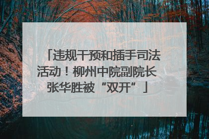 违规干预和插手司法活动！柳州中院副院长张华胜被“双开”