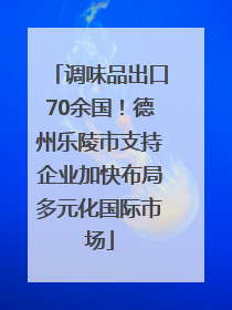 调味品出口70余国！德州乐陵市支持企业加快布局多元化国际市场