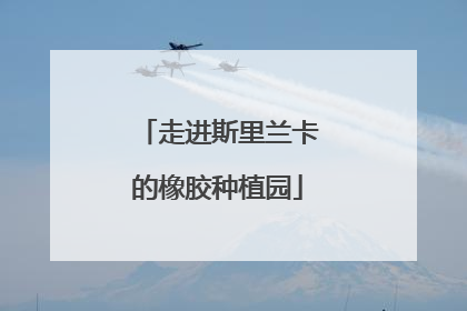 走进斯里兰卡的橡胶种植园