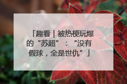 趣看｜被热梗玩爆的“苏超”：“没有假球，全是世仇”