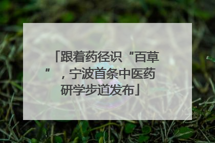 跟着药径识“百草”，宁波首条中医药研学步道发布