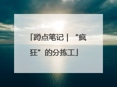 蹲点笔记｜“疯狂”的分拣工