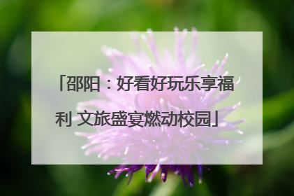 邵阳：好看好玩乐享福利 文旅盛宴燃动校园