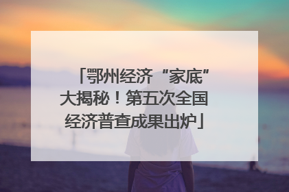 鄂州经济“家底”大揭秘！第五次全国经济普查成果出炉