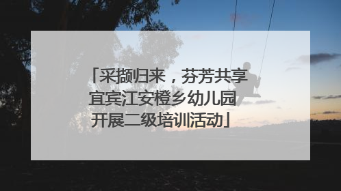采撷归来，芬芳共享 宜宾江安橙乡幼儿园开展二级培训活动