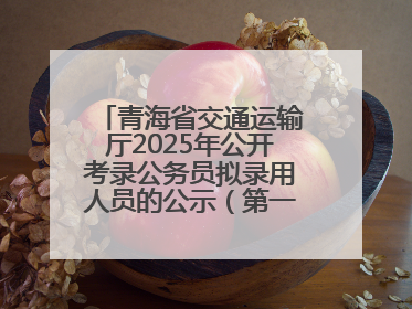 青海省交通运输厅2025年公开考录公务员拟录用人员的公示（第一批次）
