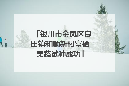 银川市金凤区良田镇和顺新村富硒果蔬试种成功