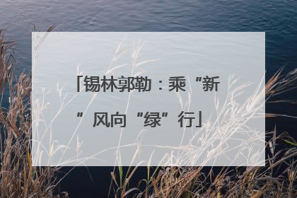 锡林郭勒：乘“新”风向“绿”行