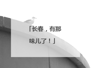 长春，有那味儿了！