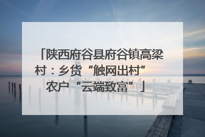 陕西府谷县府谷镇高梁村：乡货“触网出村” 农户“云端致富”