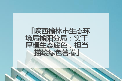 陕西榆林市生态环境局榆阳分局：实干厚植生态底色，担当描绘绿色答卷