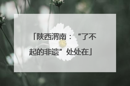 陕西渭南：“了不起的非遗”处处在