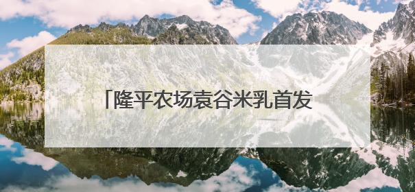 隆平农场袁谷米乳首发亮相中非经贸博览会“味道湖南”美食市集