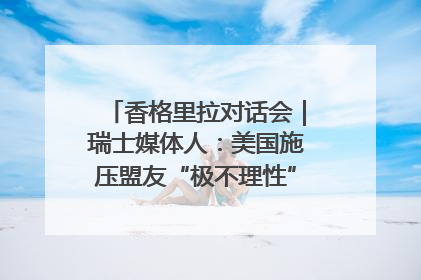 香格里拉对话会｜瑞士媒体人：美国施压盟友“极不理性” 欧洲国家无意与中国“脱钩断链”