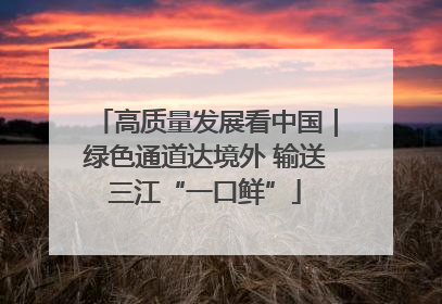 高质量发展看中国｜绿色通道达境外 输送三江“一口鲜”