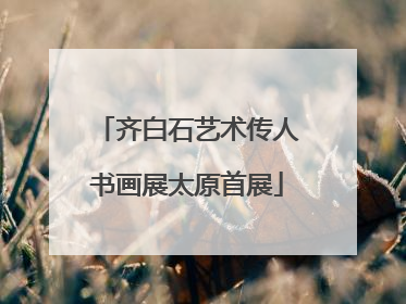 齐白石艺术传人书画展太原首展