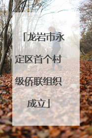 龙岩市永定区首个村级侨联组织成立