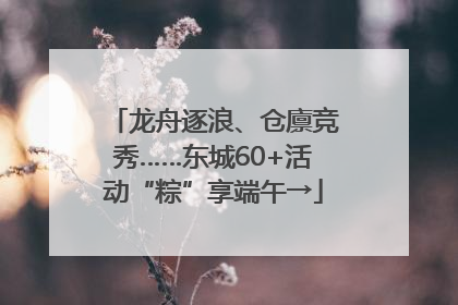 龙舟逐浪、仓廪竞秀……东城60+活动“粽”享端午→