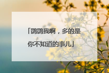 鹮鹮我啊，多的是你不知道的事儿