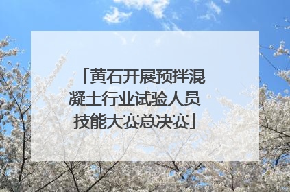 黄石开展预拌混凝土行业试验人员技能大赛总决赛