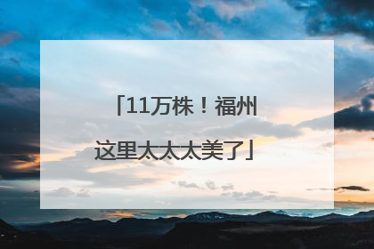 11万株！福州这里太太太美了