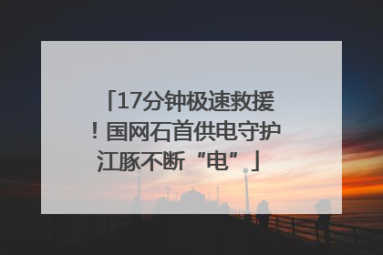 17分钟极速救援！国网石首供电守护江豚不断“电”