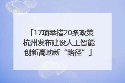 17项举措20条政策 杭州发布建设人工智能创新高地新“路径”
