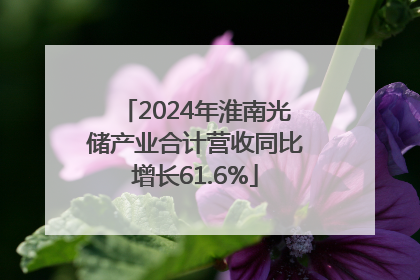 2024年淮南光储产业合计营收同比增长61.6%