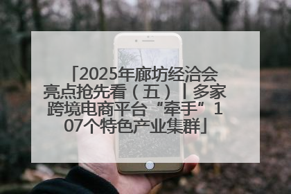 2025年廊坊经洽会亮点抢先看（五）丨多家跨境电商平台“牵手”107个特色产业集群