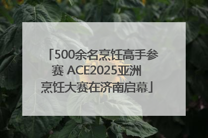 500余名烹饪高手参赛 ACE2025亚洲烹饪大赛在济南启幕